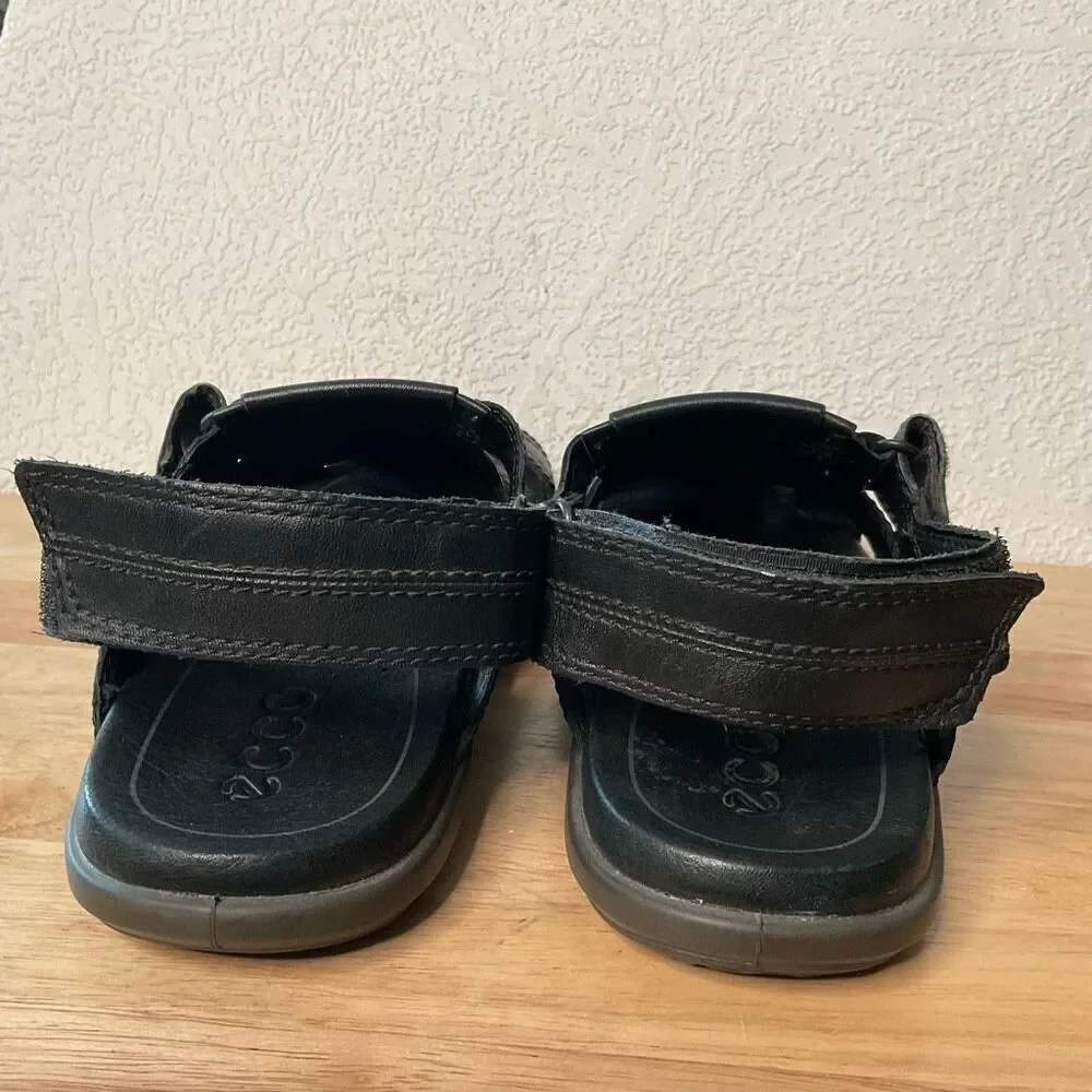 Ecco elevate your